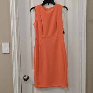 Pink dress with gold zipper detail